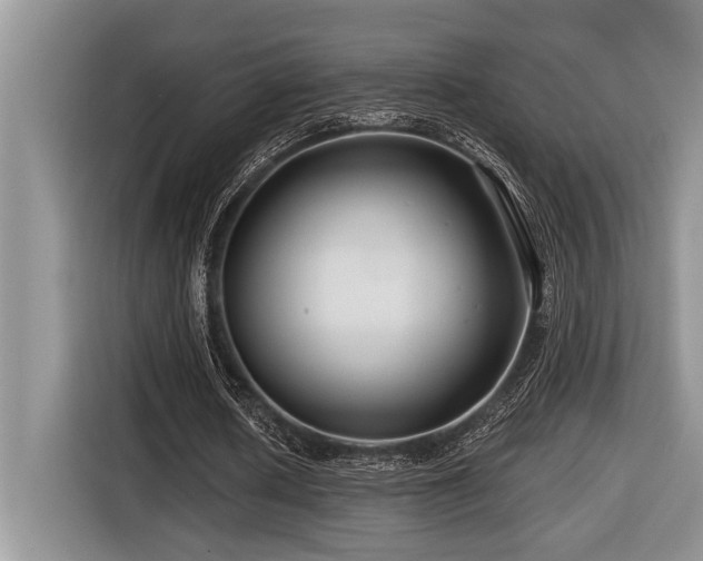 X0000116670626200912141341