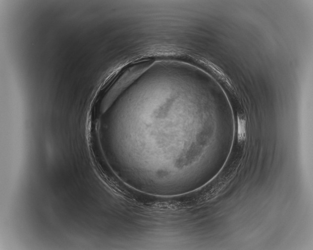 X0000116670627200912141341