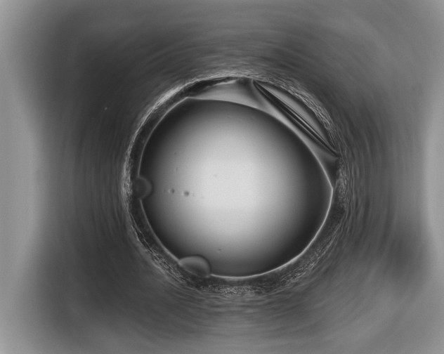 X0000116670628200912141341