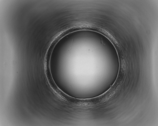 X0000116670629200912141341