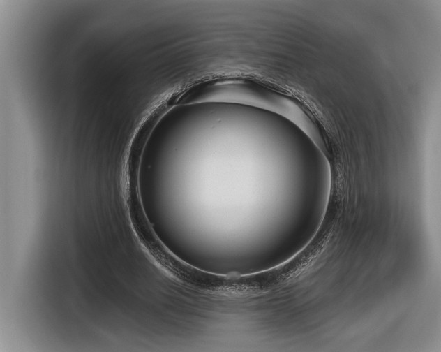 X0000116670630200912141341