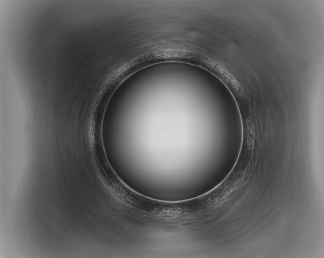 X0000116670631200912141341