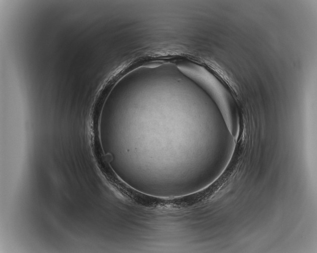 X0000116670634200912141341