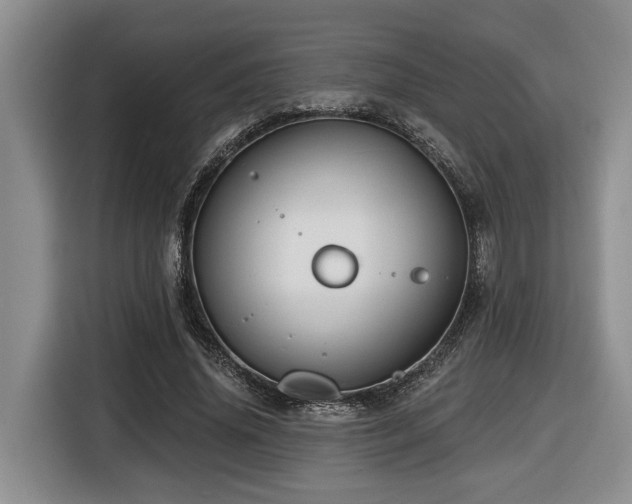 X0000116670636200912141341