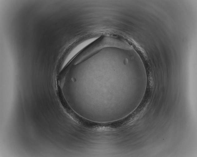 X0000116670637200912141341