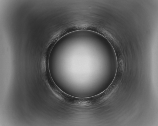 X0000116670638200912141341