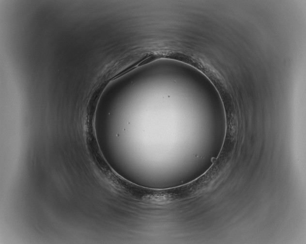 X0000116670639200912141341