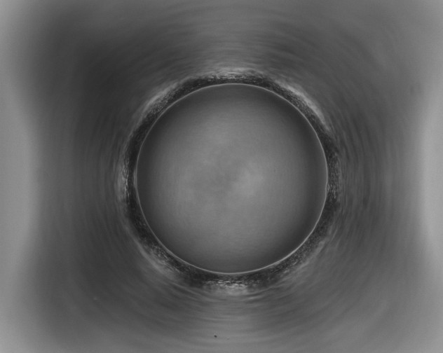 X0000116670640200912141341