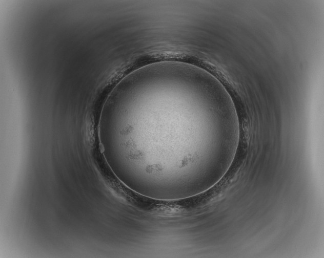 X0000116670642200912141341