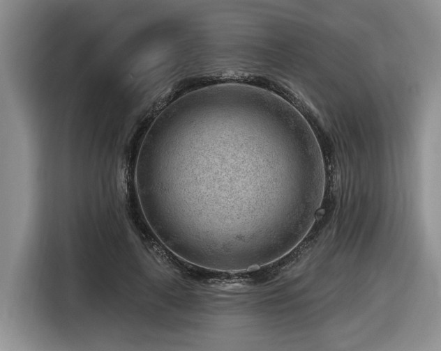 X0000116670643200912141341