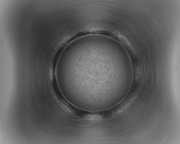 X0000116670644200912141341