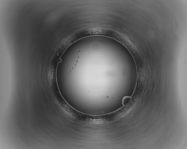 X0000116670645200912141341