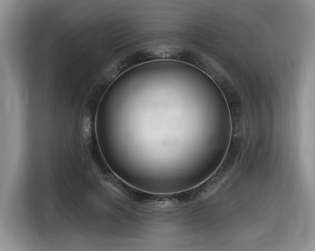 X0000116670646200912141341