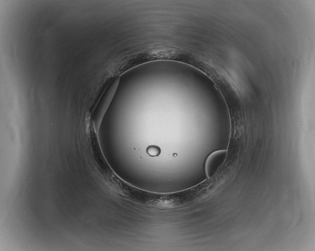 X0000116670647200912141341