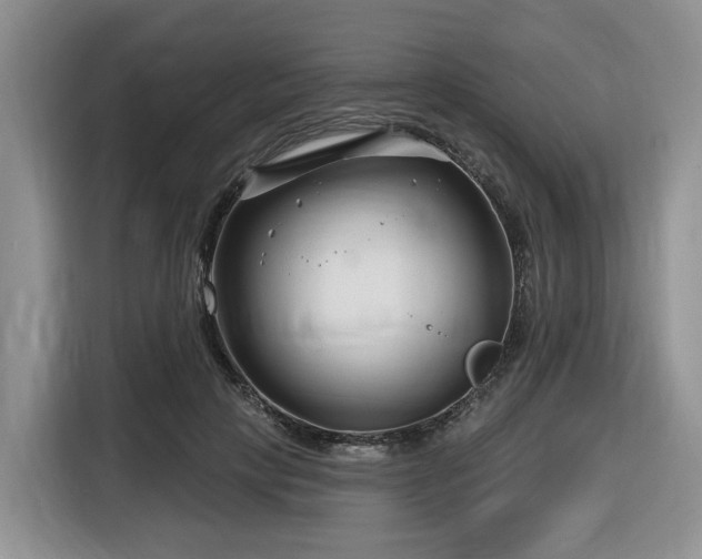 X0000116670649200912141341