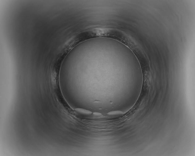 X0000116670650200912141341