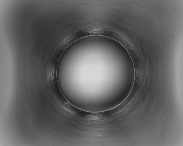 X0000116670652200912141341