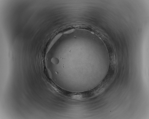 X0000116670653200912141341