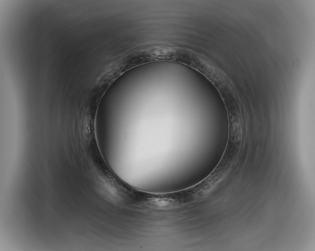 X0000116670654200912141341