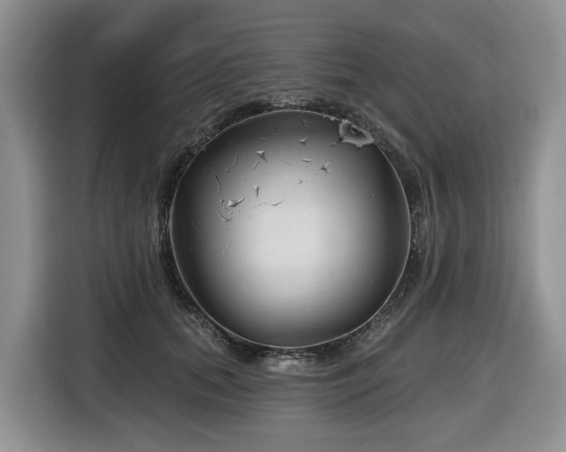 X0000116670655200912141341