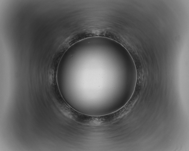 X0000116670656200912141341