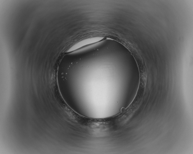 X0000116670657200912141341