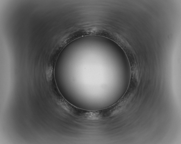 X0000116670660200912141341