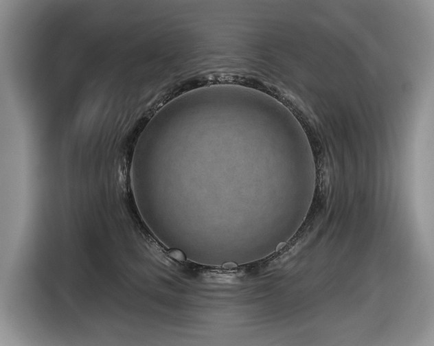 X0000116670661200912141341