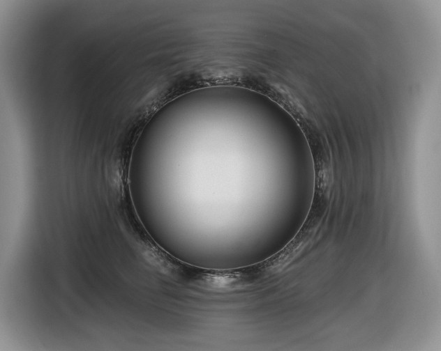 X0000116670662200912141341