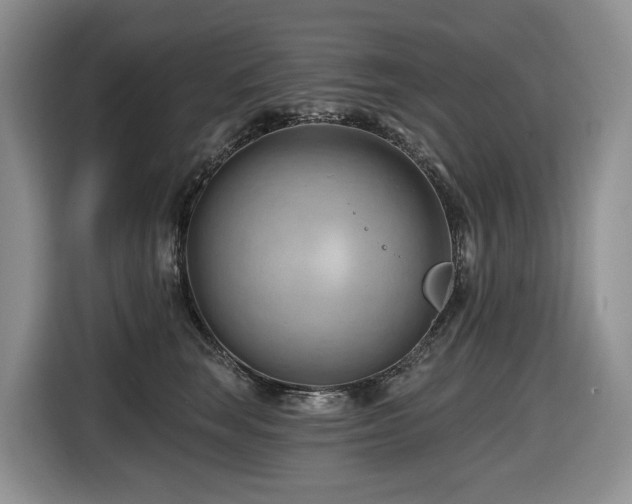 X0000116670663200912141341