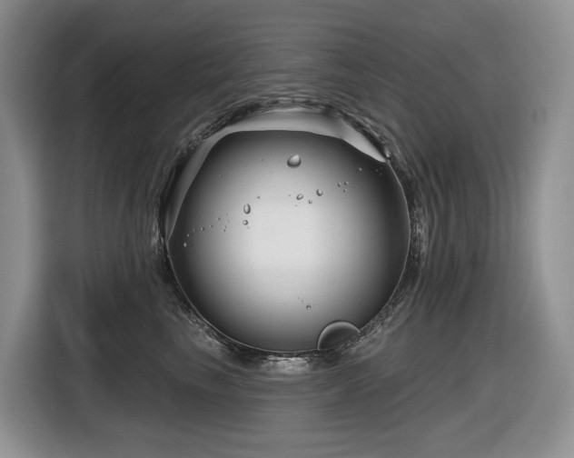 X0000116670665200912141341