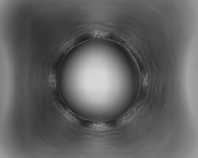 X0000116670666200912141341