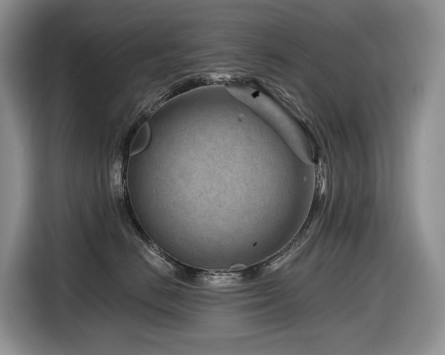 X0000116670670200912141342