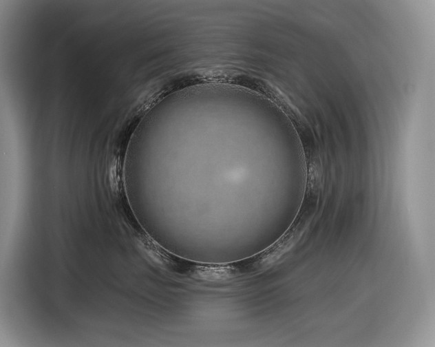 X0000116670671200912141342