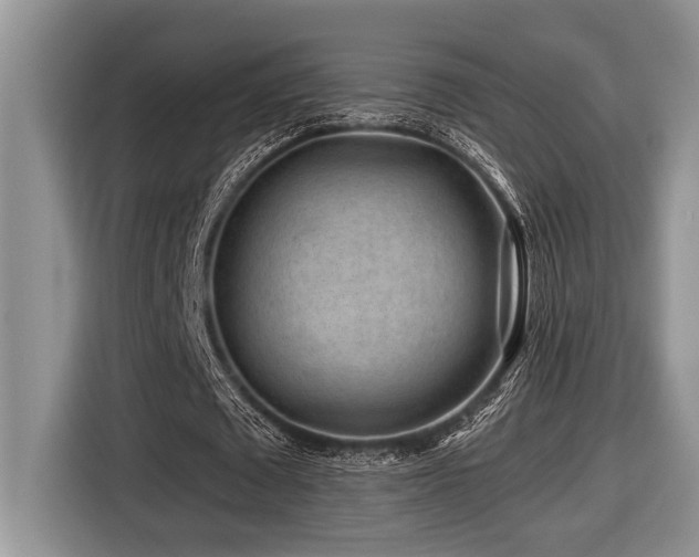 X0000116670673200912141341