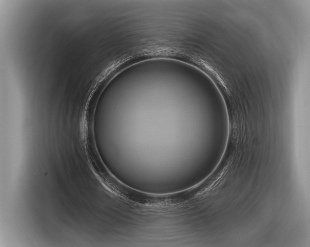 X0000116670674200912141341