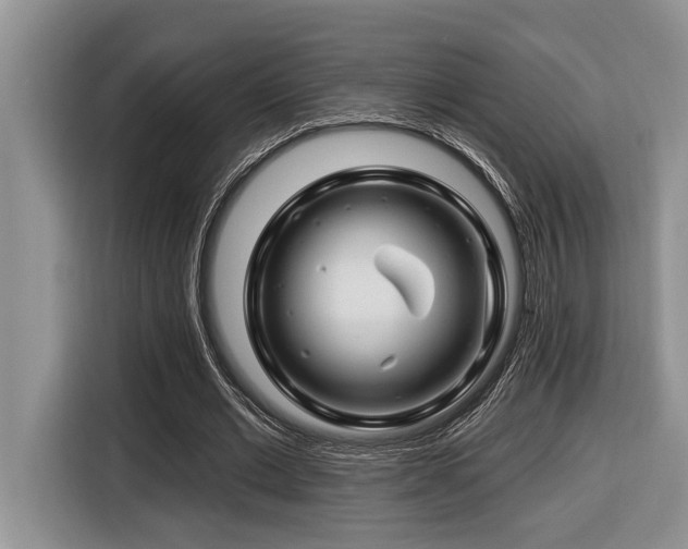 X0000116670677200912141341