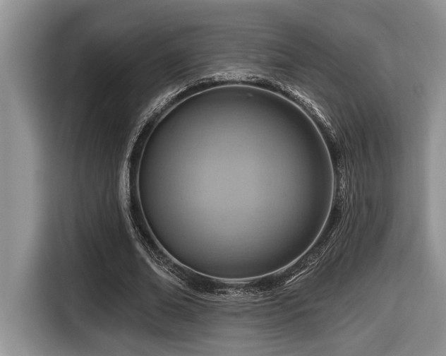 X0000116670678200912141341