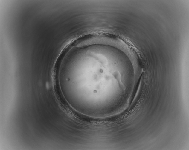 X0000116670679200912141341