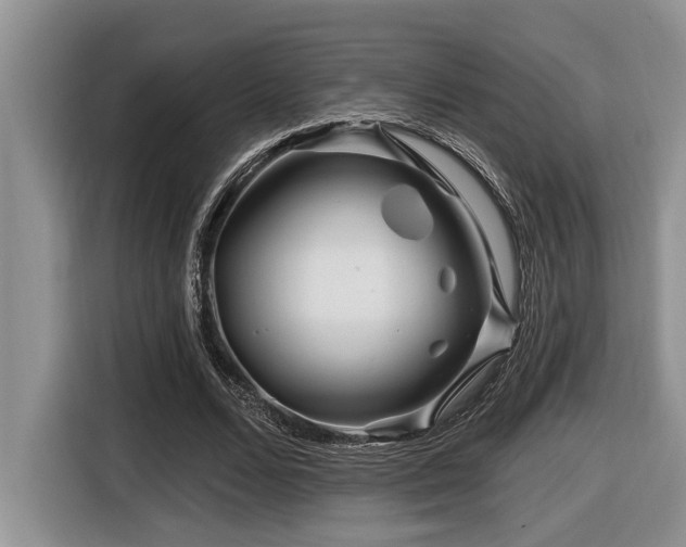 X0000116670680200912141341