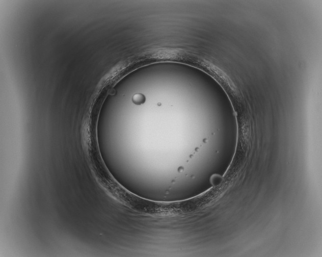 X0000116670682200912141341