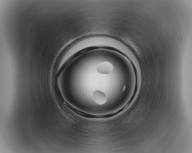 X0000116670684200912141341