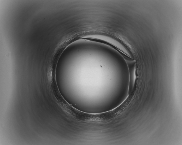 X0000116670685200912141341