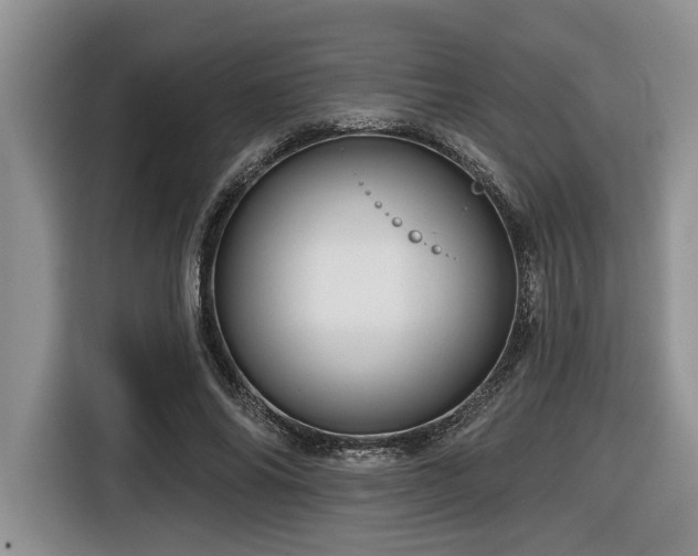 X0000116670686200912141341