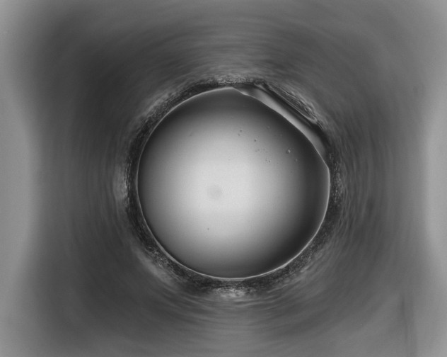 X0000116670687200912141341