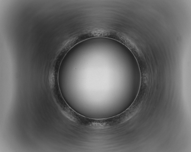 X0000116670690200912141341