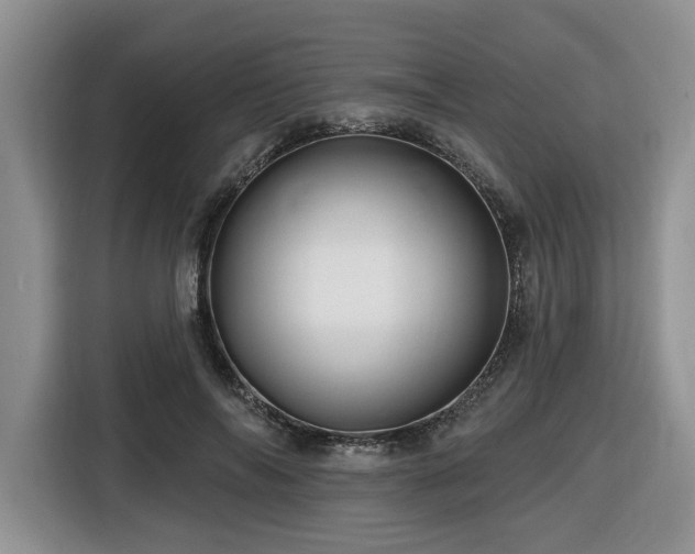 X0000116670694200912141341