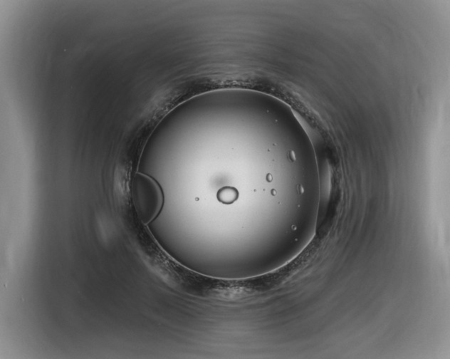 X0000116670695200912141341