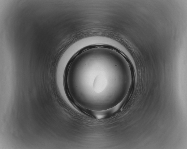 X0000116670696200912141341