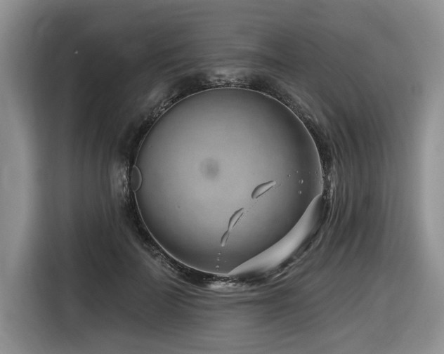 X0000116670699200912141341